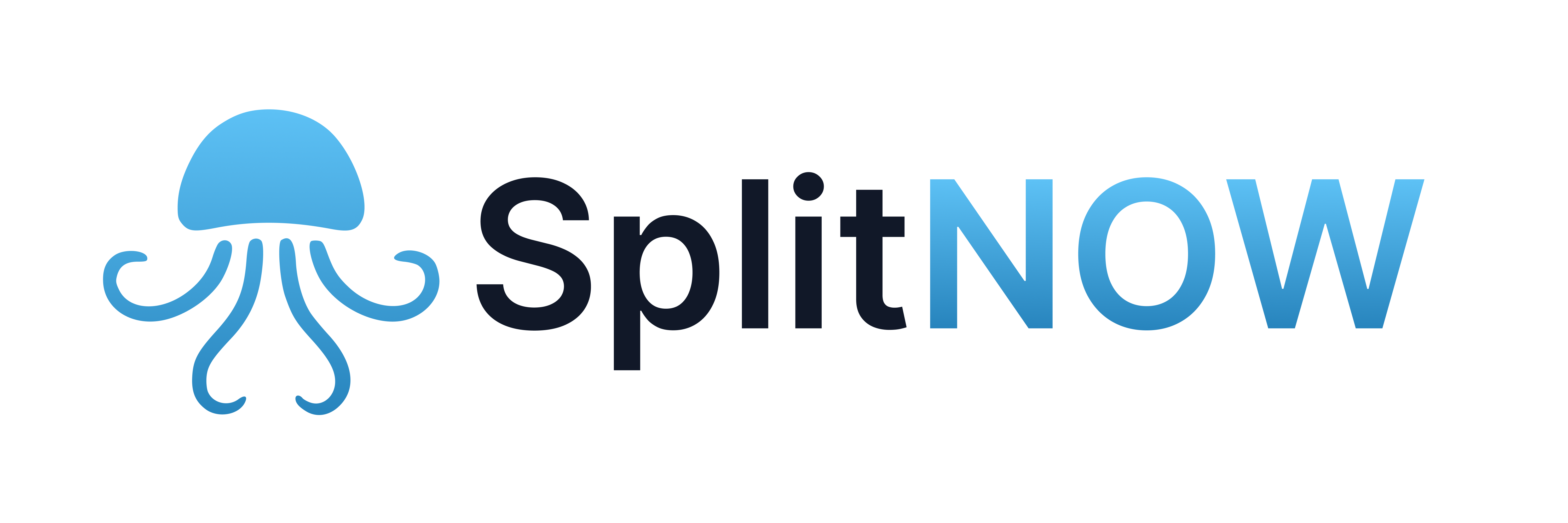 Logo - SplitNow